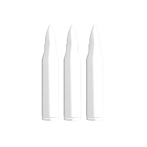 Ammo: 25